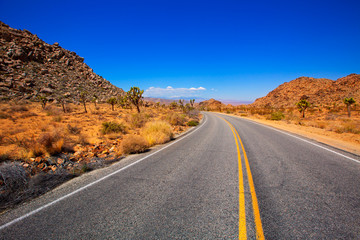 Wall Mural - Joshua Tree boulevard Road in Yucca Valley desert California