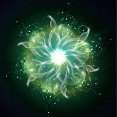 Wall Mural - fiery flower abstract background