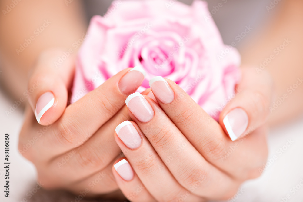 Beautiful woman's nails with french manicure  and rose - obrazy, fototapety, plakaty 