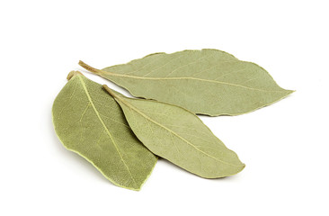 Wall Mural - Three dried bay leaves close-up.