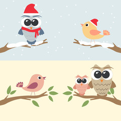  Set of owls and birds sitting on branch