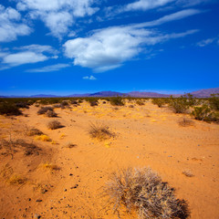 Sticker - Mohave desert in California Yucca Valley