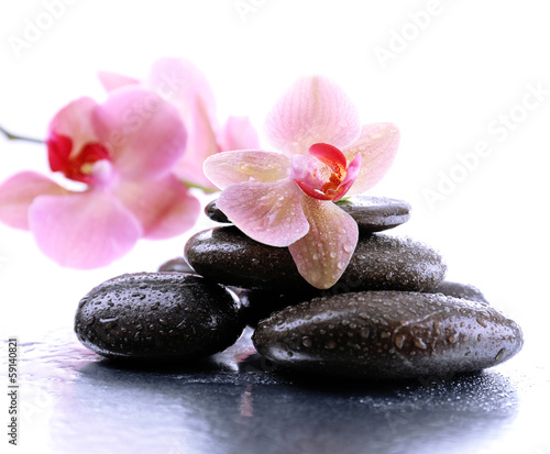 Tapeta ścienna Kompozycja z piękną kwitnącą orchideą z kroplami wody i