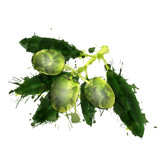 160_f_59142654_ugnlrmswknhzou8udy1iqqnhpuoskaee