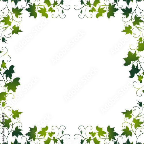 weinblatt,weinblätter,floral,frühling,rahmen,wein,vektor ...