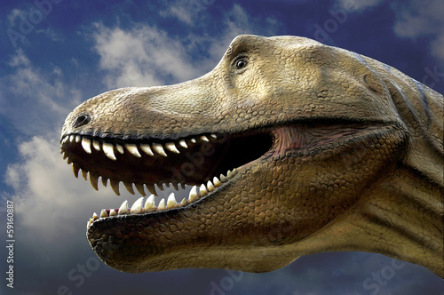 Fotoboard na płycie T.rex