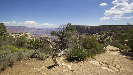 Wall Mural - moran point,  le Grand Canyon, Arizona