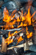 © Denis Molkin - bonfire