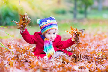 Wall Mural - Adorable toddler girl playing with red leaves in an autumn park