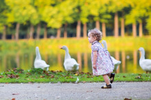 Little Baby Girl Running At A River Shore Chasing Wild Geese