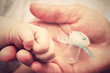 mother's hand baby's hand and his first dummy