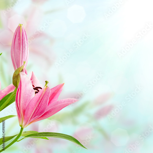 Naklejka na szybę Pink lilies background