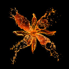 Wall Mural - flower from water splashes isolated on black