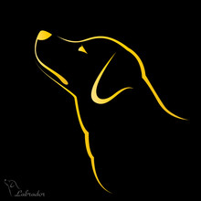 Vector Image Of An Dog Labrador