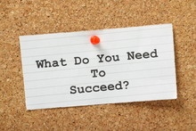 What Do You Need To Succeed?