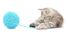 Kitten With Ball Of Yarn