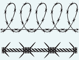 Wall Mural - Barbed wire isolated on blue background