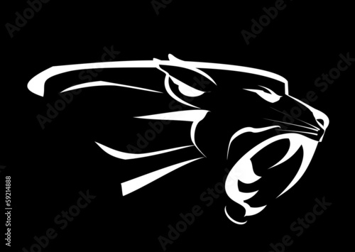 Valokuva  panther head, roaring fang face in the dark