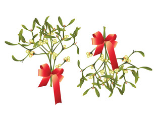 Canvas Print - Christmas mistletoe