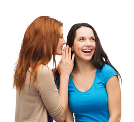 Wall Mural - two smiling girls whispering gossip