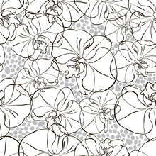 Seamless Pattern With Black And White Orchids .