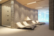 spa interior with ice fontain and chaise-longue. white model