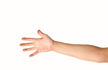 arm and hand
