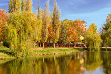 Wall Mural - autumn landscape on the lake