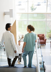 Wall Mural - Medical Team And Patient Walking On Stairs