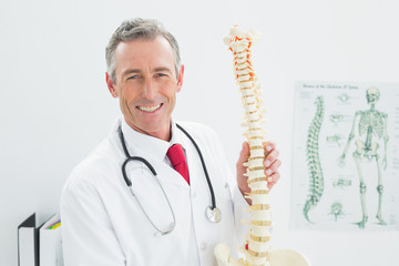 Smiling doctor holding skeleton model in office