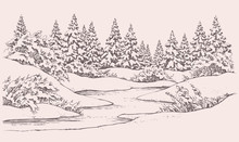 Vector Winter Landscape. Forest Firs Near Frozen River