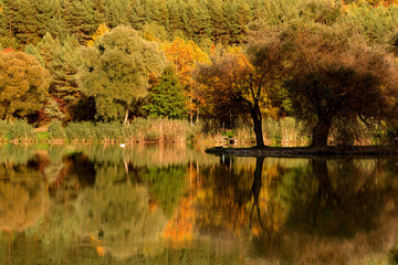 Wall Mural - lake reflection with fall color