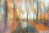 Fototapeta  - abstract blurred autumn landscape