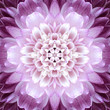 Pink Concentric Flower Center. Mandala Kaleidoscopic design