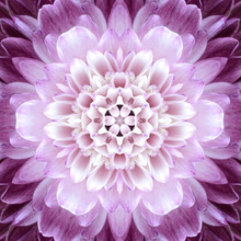 Pink Concentric Flower Center. Mandala Kaleidoscopic Design