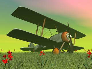 Wall Mural - Biplane on the grass - 3D render