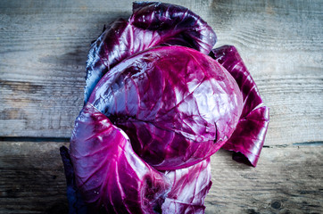 Canvas Print - Red cabbage