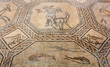 Ancient Floor Mosaic in the Basilica of Aquileia, Italy