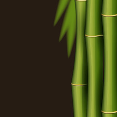  Bamboo design template