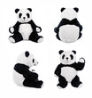 Stuffed animal panda bear or teddy bear