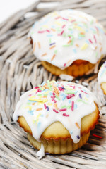 Poster - Festive muffins decorated with colorful sprinkles