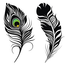 Set  Of  Feathers