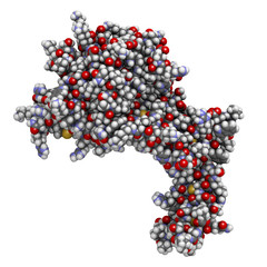 Wall Mural - Human activated protein C (APC, drotrecogin alfa)