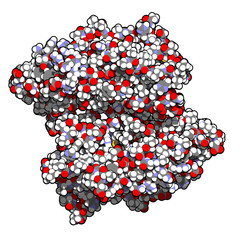 Sticker - BRCA1 (BReast CAncer type 1 susceptibility, BRCT domain)