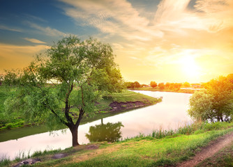 Wall Mural - evening on the river