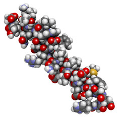 Canvas Print - Glucagon-like peptide 2 (GLP-2) peptide molecule.