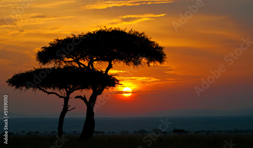 Tapeta ścienna Zmierzch w parku narodowym masai Mara w Kenja