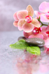 Wall Mural - Composition with beautiful blooming orchid with water drops and