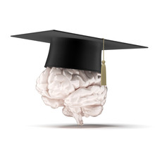 Brain With Graduation Hat