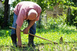 © sanjagrujic - Senior male gardener
